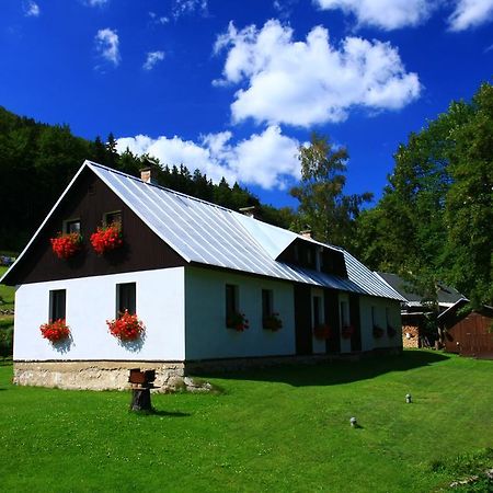 Guest House U Lakomce Desná Exteriör bild