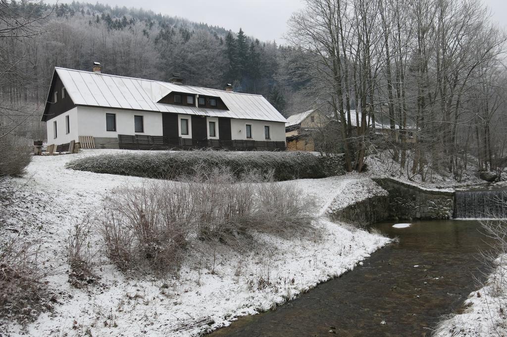 Guest House U Lakomce Desná Exteriör bild