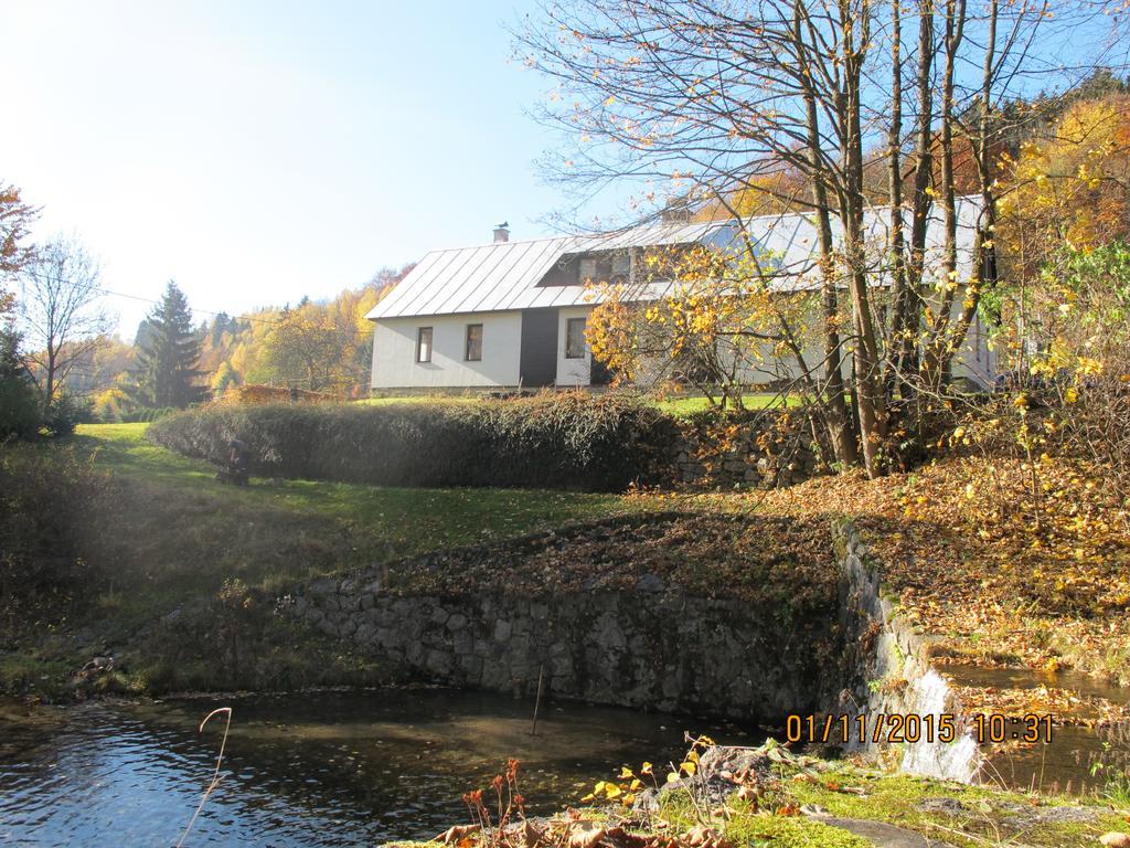Guest House U Lakomce Desná Exteriör bild