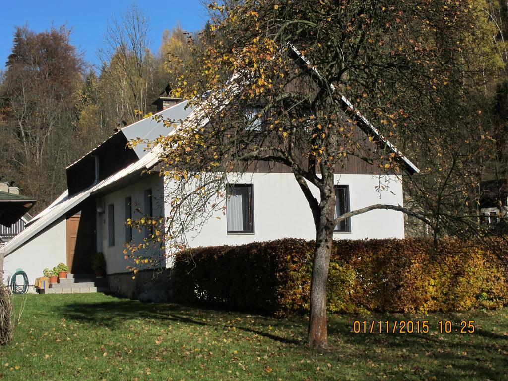 Guest House U Lakomce Desná Exteriör bild