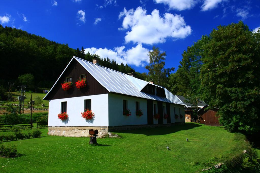 Guest House U Lakomce Desná Exteriör bild