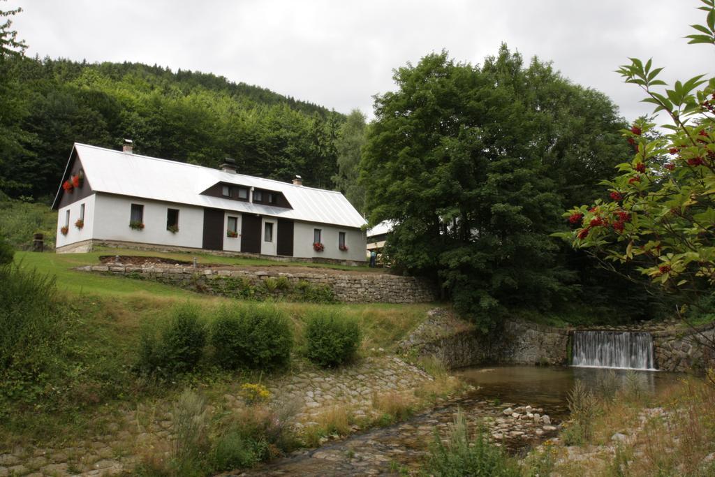 Guest House U Lakomce Desná Exteriör bild